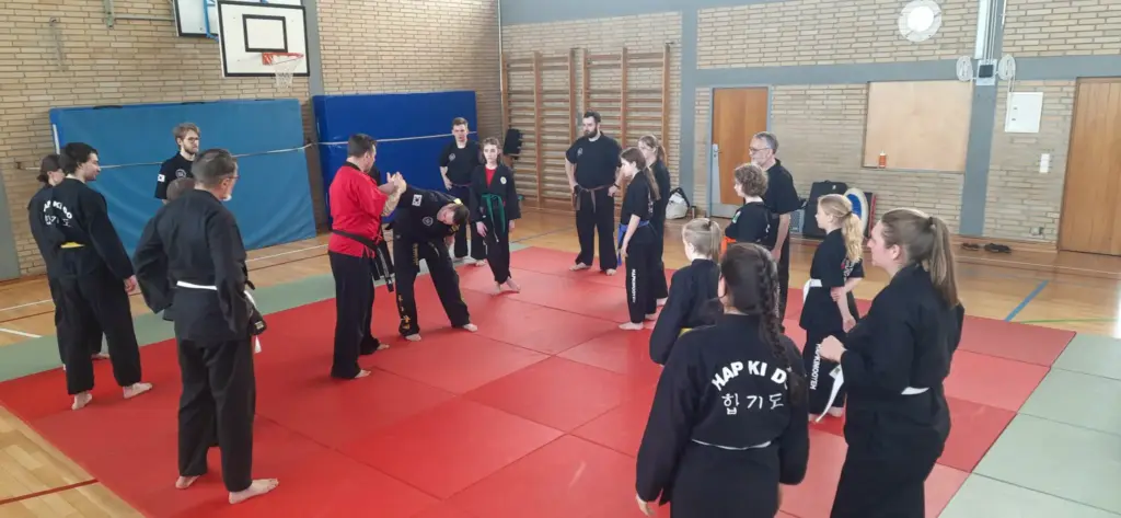 Gruppentraining im Kummooyeh unter der Leitung von Großmeister Frankie Lacroix und Cindy Lacroix. Die Teilnehmer, darunter Kinder und Erwachsene in traditionellen Trainingsanzügen, üben verschiedene Techniken auf einer roten Matte in einer Sporthalle des VfR Simmern.
